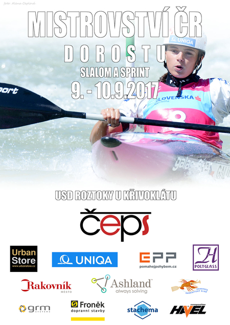 plakat mcr dorostu 2017mensi